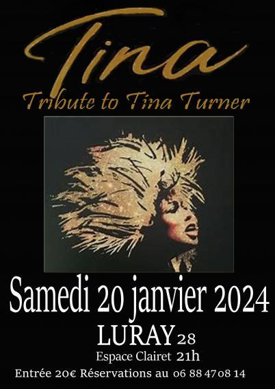 Concert - Tina Turner - 20-01-2024